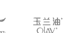 美的